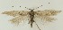  ( - MDH037815)  @11 [ ] CreativeCommons  Attribution (by) (2024) Daniel Handfield Unspecified