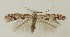  ( - MDH038222)  @11 [ ] CreativeCommons  Attribution (by) (2024) Daniel Handfield Unspecified