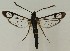  ( - MDH038235)  @11 [ ] CreativeCommons  Attribution (by) (2024) Daniel Handfield Unspecified