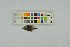  ( - 050914-9-B1)  @11 [ ] CreativeCommons - Attribution Non-Commercial Share-Alike (2017) Unspecified Norwegian Veterinary Institute