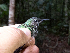  ( - FPI0000016)  @11 [ ] Copyright  Field Projects International Field Projects International