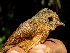  ( - FPI0000035)  @11 [ ] Copyright  Field Projects International Field Projects International