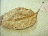  ( - 120-2-1)  @11 [ ] Copyright (2009) marine gratecap Natural Resources Canada