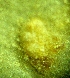  ( - 121-1-1)  @11 [ ] Copyright (2009) marine gratecap Natural Resources Canada