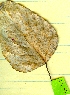  ( - 134-1-1)  @11 [ ] Copyright (2009) marine gratecap Natural Resources Canada
