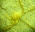  ( - 134-1-1)  @11 [ ] Copyright (2009) marine gratecap Natural Resources Canada