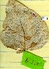  ( - 18-1-1)  @11 [ ] Copyright (2009) marine gratecap Natural Resources Canada