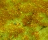  ( - 22-1-1)  @11 [ ] Copyright (2009) marine gratecap Natural Resources Canada