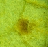  ( - 83-1-2)  @11 [ ] Copyright (2009) marine gratecap Natural Resources Canada