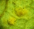 ( - 91-2-1)  @11 [ ] Copyright (2009) marine gratecap Natural Resources Canada