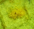  ( - 91-2-2)  @11 [ ] Copyright (2009) marine gratecap Natural Resources Canada
