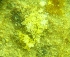  ( - 99-2-1)  @11 [ ] Copyright (2009) marine gratecap Natural Resources Canada