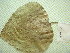  ( - hyb12-3-2)  @11 [ ] Copyright (2009) marine gratecap Natural Resources Canada