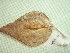  ( - hyb16-2-1)  @11 [ ] Copyright (2009) marine gratecap Natural Resources Canada