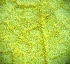  ( - hyb16-2-1)  @11 [ ] Copyright (2009) marine gratecap Natural Resources Canada