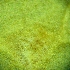  ( - hyb22-2-1)  @11 [ ] Copyright (2009) marine gratecap Natural Resources Canada