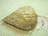 ( - hyb24-2-1)  @11 [ ] Copyright (2009) marine gratecap Natural Resources Canada
