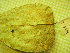  ( - hyb6-2-2)  @11 [ ] Copyright (2009) marine gratecap Natural Resources Canada