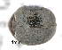  ( - CNCCOLVG00007013)  @13 [ ] Copyright (2014) Vasily Grebennikov CFIA