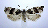  ( - jflandry0416)  @13 [ ] Copyright (2007) Unspecified Canadian National Collection