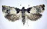  ( - jflandry0469)  @13 [ ] Copyright (2007) Unspecified Canadian National Collection