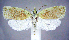  ( - jflandry0863)  @14 [ ] Copyright (2007) Unspecified Canadian National Collection