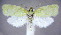  ( - jflandry0824)  @14 [ ] Copyright (2007) Unspecified Canadian National Collection