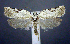  ( - jflandry0372)  @14 [ ] Copyright (2007) Unspecified Canadian National Collection