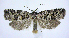  ( - jflandry0819)  @15 [ ] Copyright (2007) Unspecified Canadian National Collection