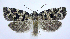  ( - jflandry0475)  @14 [ ] Copyright (2007) Unspecified Canadian National Collection