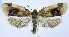  ( - jflandry0349)  @14 [ ] Copyright (2007) Unspecified Canadian National Collection