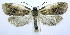  ( - jflandry0554)  @14 [ ] Copyright (2007) Unspecified Canadian National Collection