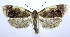  ( - jflandry0555)  @14 [ ] Copyright (2007) Unspecified Canadian National Collection
