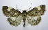 ( - jflandry0334)  @14 [ ] Copyright (2007) Unspecified Canadian National Collection
