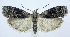  ( - jflandry0810)  @14 [ ] Copyright (2007) Unspecified Canadian National Collection