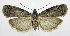  ( - jflandry0737)  @13 [ ] Copyright (2007) Unspecified Canadian National Collection