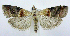  ( - jflandry0641)  @14 [ ] Copyright (2007) Unspecified Canadian National Collection