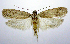  ( - jflandry0339)  @14 [ ] Copyright (2007) Unspecified Canadian National Collection