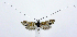  ( - jflandry0750)  @12 [ ] Copyright (2007) Unspecified Canadian National Collection