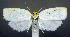  ( - jflandry0776)  @14 [ ] Copyright (2007) Unspecified Canadian National Collection