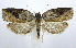  ( - jflandry0703)  @15 [ ] Copyright (2007) Unspecified Canadian National Collection