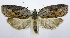  ( - jflandry0333)  @14 [ ] Copyright (2007) Unspecified Canadian National Collection
