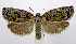  ( - jflandry0635)  @13 [ ] Copyright (2007) Unspecified Canadian National Collection