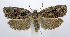  ( - jflandry0488)  @13 [ ] Copyright (2007) Unspecified Canadian National Collection