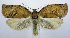  ( - jflandry0582)  @14 [ ] Copyright (2007) Unspecified Canadian National Collection