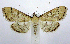  ( - jflandry0640)  @14 [ ] Copyright (2007) Unspecified Canadian National Collection