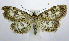  ( - jflandry0656)  @14 [ ] Copyright (2007) Unspecified Canadian National Collection