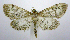  ( - jflandry0583)  @13 [ ] Copyright (2007) Unspecified Canadian National Collection