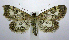 ( - jflandry0660)  @14 [ ] Copyright (2007) Unspecified Canadian National Collection