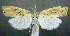  ( - jflandry0828)  @14 [ ] CreativeCommons - Attribution (2010) Unspecified Centre for Biodiversity Genomics
